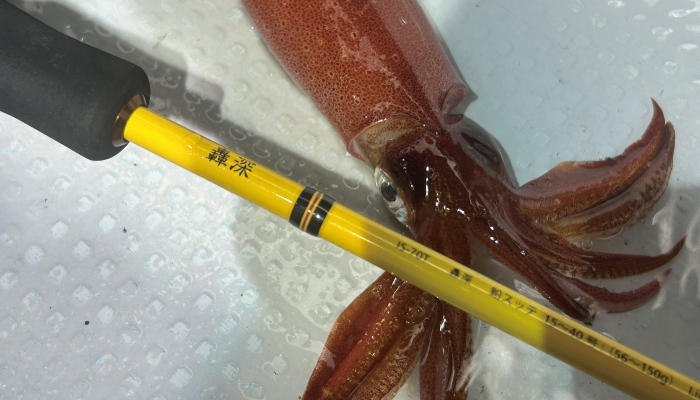 IZANAI STICK IS-70T 轟深